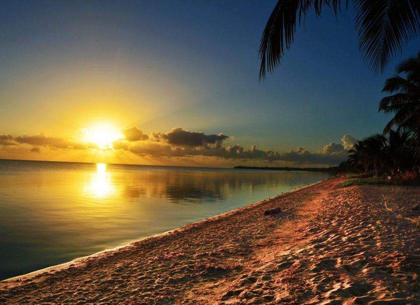 Beach Photo