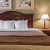 Quality Inn and Suites Ann Arbor Hwy 23 guest room with king bed, bedside lamps, and framed wall art