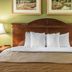 Quality Inn and Suites Ann Arbor Hwy 23 guest room with king bed, wood headboard, and bedside lamps in Ann Arbor