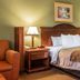 Quality Inn and Suites Ann Arbor Hwy 23 guest room with king bed, nightstands, lamps and armchair