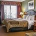 Quality Inn and Suites Ann Arbor Hwy 23 guest room with king bed, window, TV and nightstands