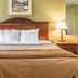Quality Inn and Suites Ann Arbor Hwy 23 guest room with king bed, bedside lamps and framed wall art