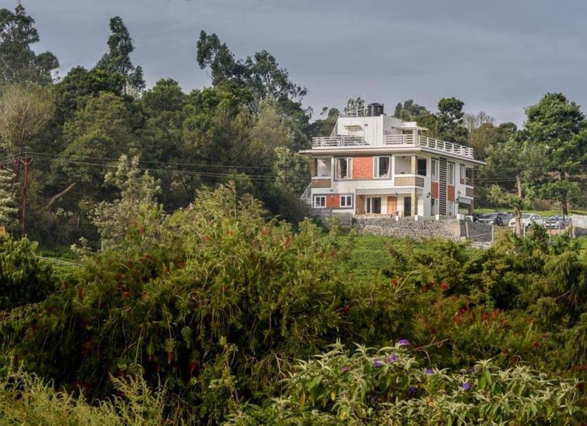 Outdoors view Photo