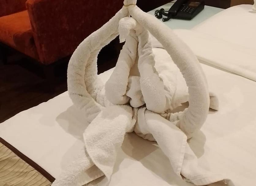 Room amenity Photo
