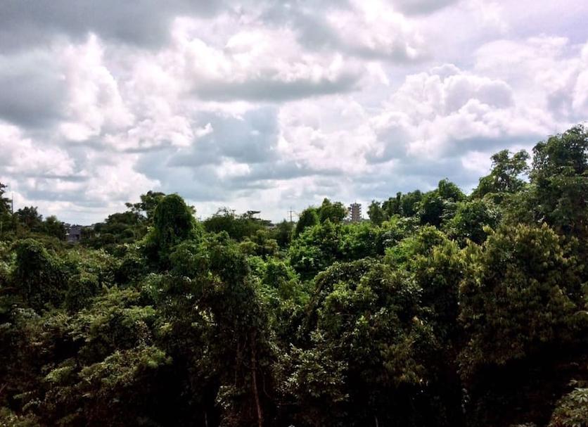 Outdoors view Photo