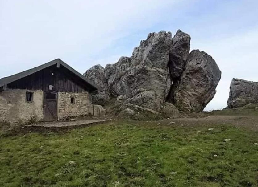 Other Photo