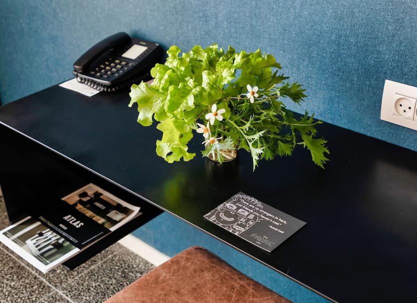 Room amenity Photo