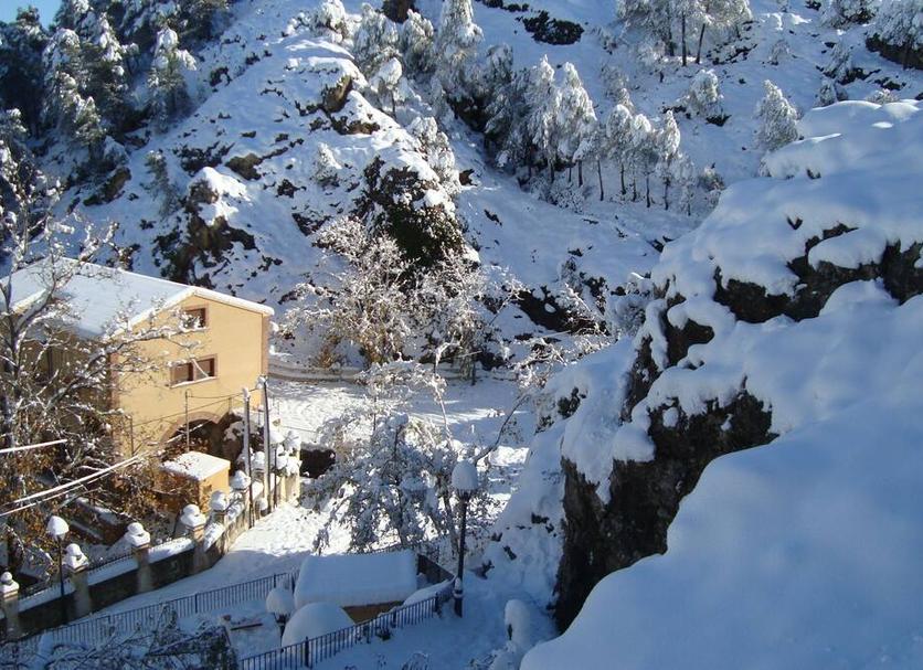 Other Photo