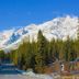 Sunwapta Falls Rocky Mountain Lodge in Jasper with mountain view, forest road, and snowy peaks