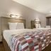 Red Roof Inn Detroit - Farmington Hills room with two double beds and window curtains