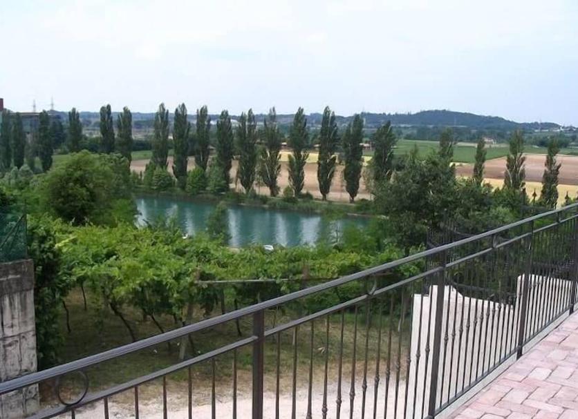 Other Photo