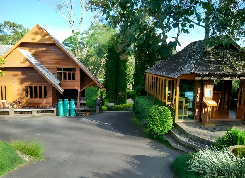 Other Photo