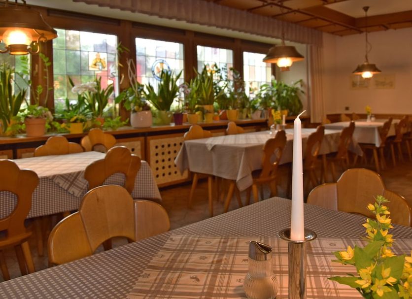Hotel Grüner Baum in Naila dining room with table settings, potted plants, and warm pendant lights