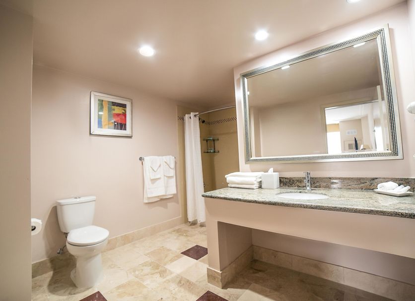 Hotel Clariana San Jose bathroom with vanity, large mirror, toilet, and shower curtain