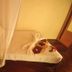 Baia Baia Resort in Ko Phi Phi guest bed with mosquito net and towel swan