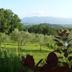 Outdoors view