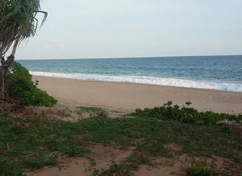 Beach Photo
