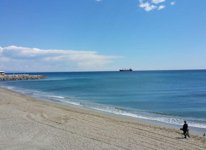 Beach Photo