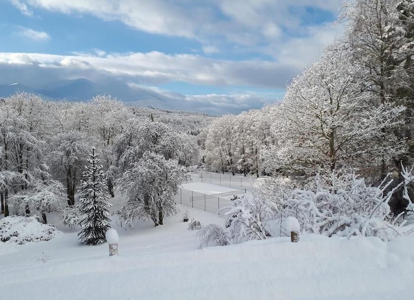 Outdoors view Photo
