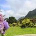 Outdoors view