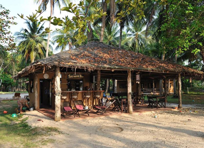 Other Photo