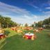 Chariot Beach Resort in Mahabalipuram with outdoor lawn dining tables and palm trees