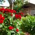 Outdoors view