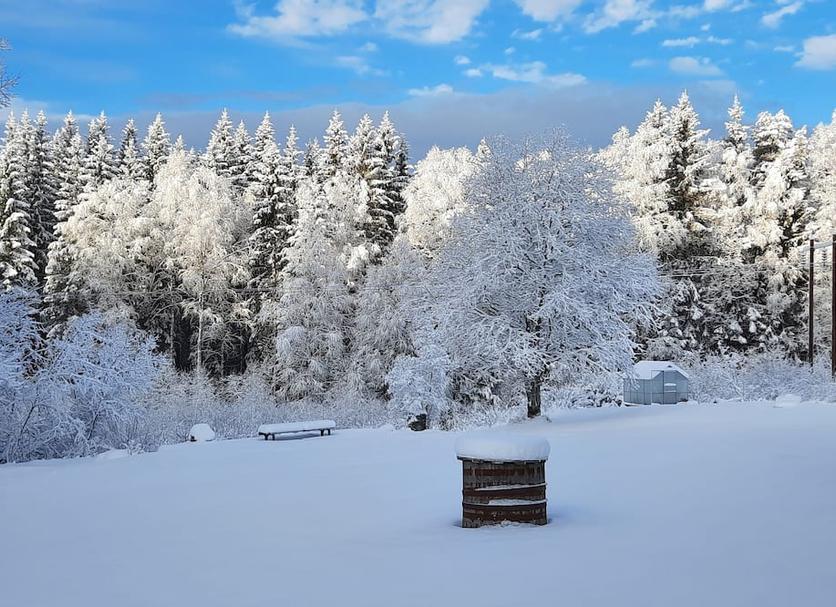 Outdoors view Photo
