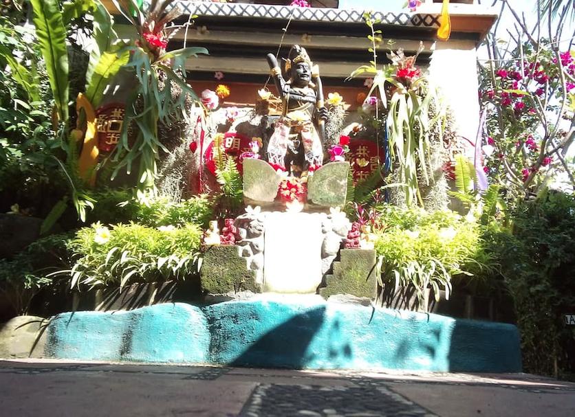 Other Photo