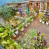 La Casa Del Viajero, Lima rooftop terrace with potted plants, seating and lounge chairs
