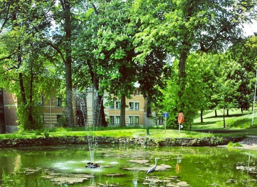 Outdoors view Photo