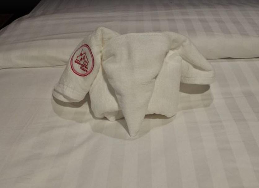 Room amenity Photo
