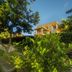 Hotel Royal Nest in Entebbe, yellow hotel building surrounded by lush tropical greenery