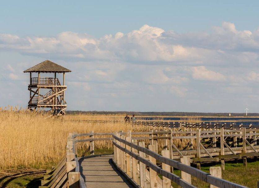 Sporthotel Liepāja wooden boardwalk through grassland to observation tower by the coast