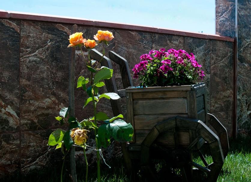 Outdoors view Photo