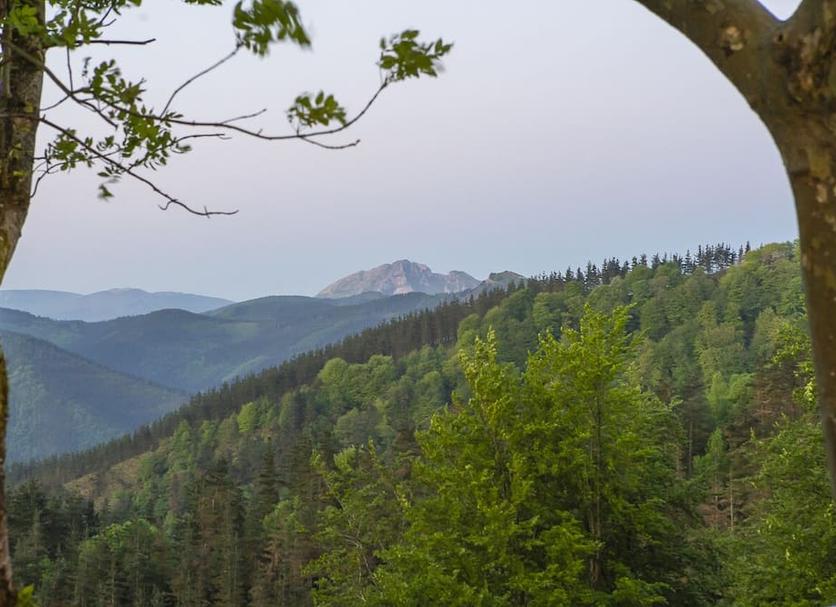 Outdoors view Photo