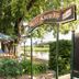 Hotel Knorre in Meissen riverfront terrace with outdoor seating under trees