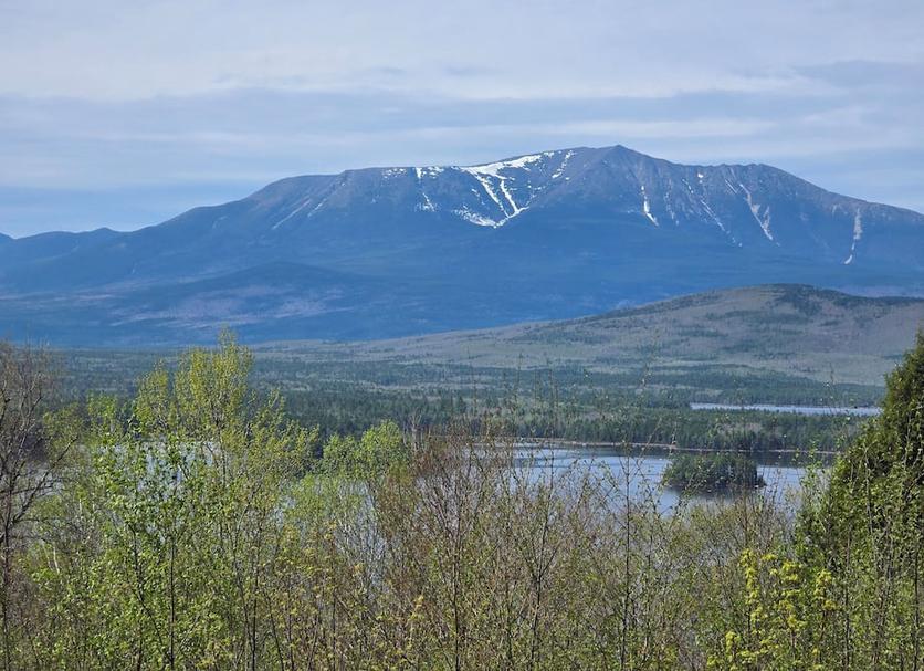 Other Photo