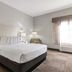Best Western Auburndale Inn & Suites room with king bed, nightstands, lamp and window in Auburndale