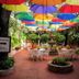 Hotel Posada De Roger in Puerto Vallarta with colorful umbrellas over a tropical courtyard and seating