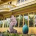 Nakaraj Princess Chiang Rai - Walking Street exterior with ornate balcony and large decorative sculptures
