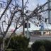 Diamond View Motel in Susanville with roadside sign, trees, and street view