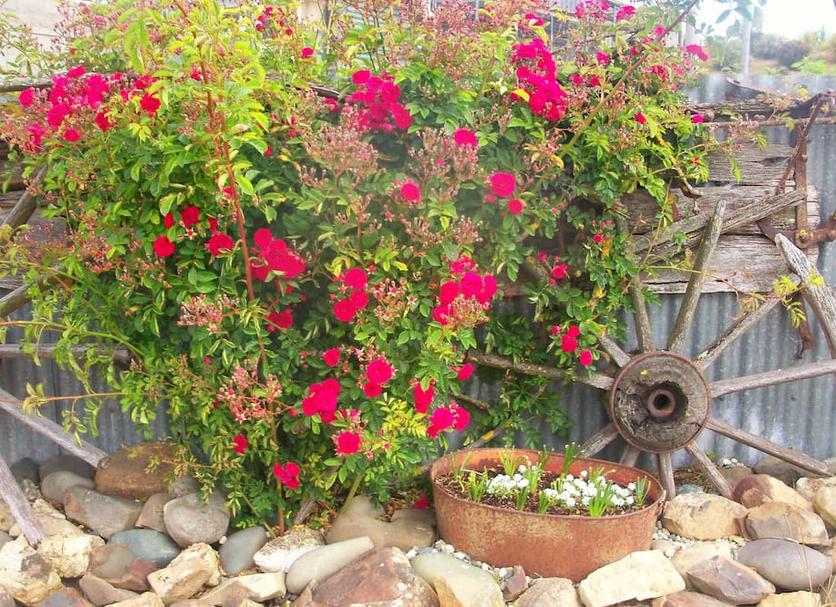 Outdoors view Photo