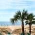 Desoto Beach Terraces in Tybee Island with beach view, palm trees, and oceanfront umbrellas