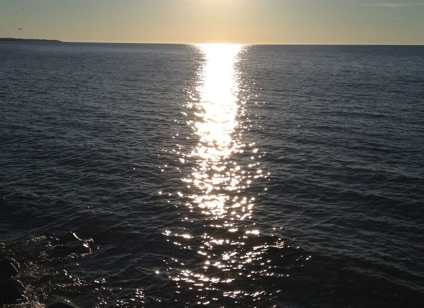 Other Photo