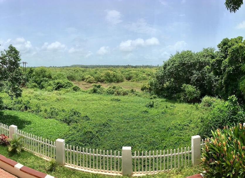 Outdoors view Photo