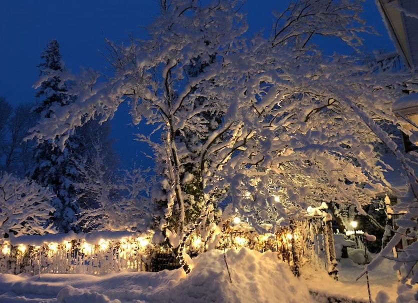 Au Manoir de la Rue Merry in Magog, snow-covered trees and warm lights in a winter garden