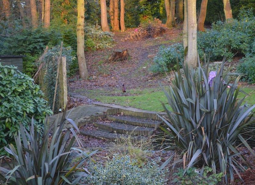 Outdoors view Photo