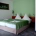 Hotel Am Markt in Eckartsberga: twin bed room with attached bathroom and green walls