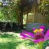 Nypa Style Resort Camiguin in Mambajao, garden with flowers and a bamboo hut